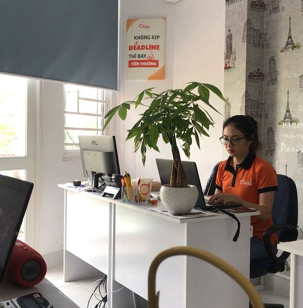 Mua tranh canvas treo tường ở đâu giá rẻ?