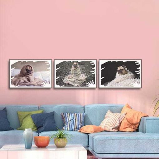 Bộ 3 tranh treo tường hình thú "Pug và khăn choàng" W505