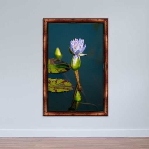 Tranh hoa lá canvas viền composite l Tranh thiên nhiên W5368