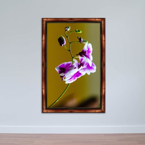 Tranh hoa lá canvas viền composite l Tranh thiên nhiên W5376
