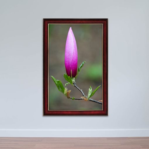 Tranh hoa lá canvas viền composite l Tranh thiên nhiên W5377