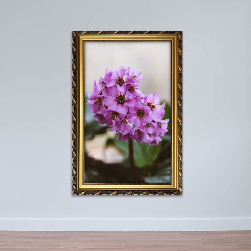 Tranh hoa lá canvas viền composite l Tranh thiên nhiên W5378
