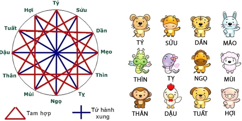 Tam hợp và xung khắc với gia chủ tuổi Dần