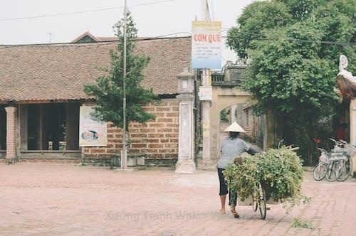 99+ ảnh đẹp Hà Nội ai cũng mê mẩn 99+ ảnh đẹp Hà Nội ai cũng mê mẩn