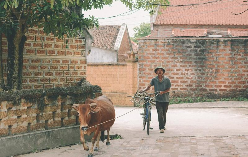 99+ ảnh đẹp Hà Nội ai cũng mê mẩn 99+ ảnh đẹp Hà Nội ai cũng mê mẩn