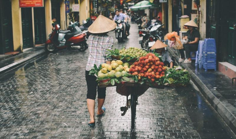 99+ ảnh đẹp Hà Nội ai cũng mê mẩn 99+ ảnh đẹp Hà Nội ai cũng mê mẩn