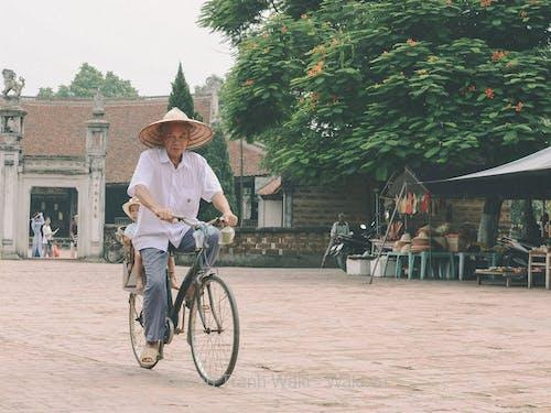 99+ ảnh đẹp Hà Nội ai cũng mê mẩn 99+ ảnh đẹp Hà Nội ai cũng mê mẩn