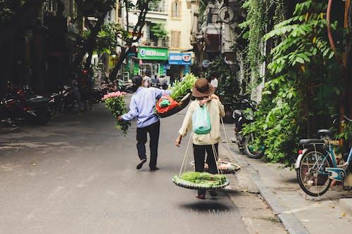 99+ ảnh đẹp Hà Nội ai cũng mê mẩn 99+ ảnh đẹp Hà Nội ai cũng mê mẩn