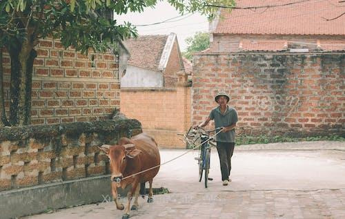 99+ ảnh đẹp Hà Nội ai cũng mê mẩn 99+ ảnh đẹp Hà Nội ai cũng mê mẩn