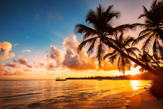 Hơn 99 Bức ảnh đẹp Hawaii Sẽ Khiến Bạn Say đắm