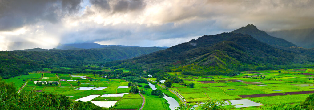 Hơn 99 Bức ảnh đẹp Hawaii Sẽ Khiến Bạn Say đắm
