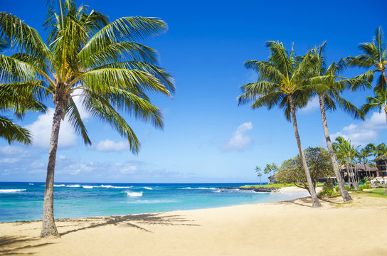 Hơn 99 Bức ảnh đẹp Hawaii Sẽ Khiến Bạn Say đắm