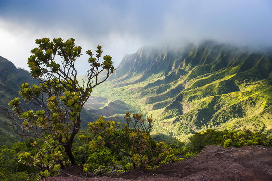 Hơn 99 Bức ảnh đẹp Hawaii Sẽ Khiến Bạn Say đắm