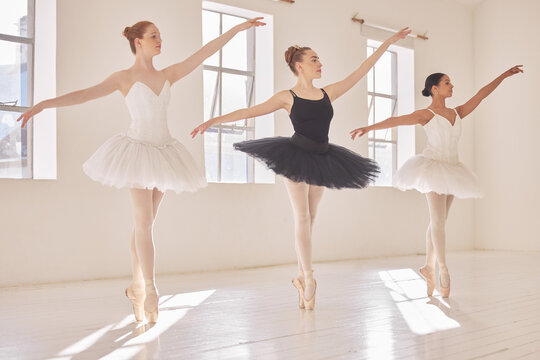 Mãn Nhãn Với 100 ảnh đẹp Vũ điệu Ballet Cực Cuốn Hút