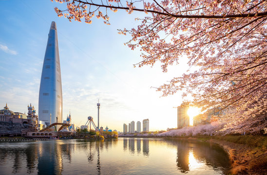 99+ ảnh đẹp thành phố Seoul đẹp hút hồn 99+ ảnh đẹp Thành Phố Seoul đẹp Hút Hồn