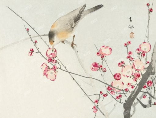 Xuongtranhwaki 0909439071 Ohara Koson Bird Painting, Vintage Songbird On Blossom Branch Wall Art Decor