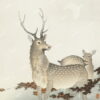 Đặt mua Tranh cổ điển "Couple of deers (1900 - 1930)" của Ohara Koson | Tranh phòng khách WR7310