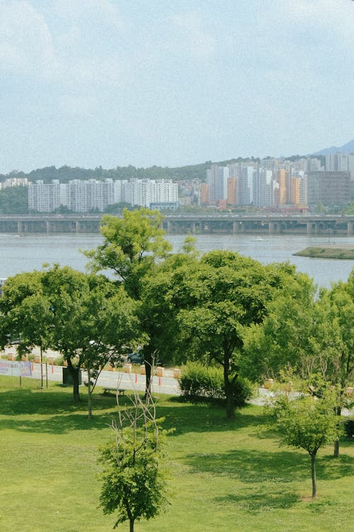Hình ảnh công viên trong xanh ở Hàn Quốc