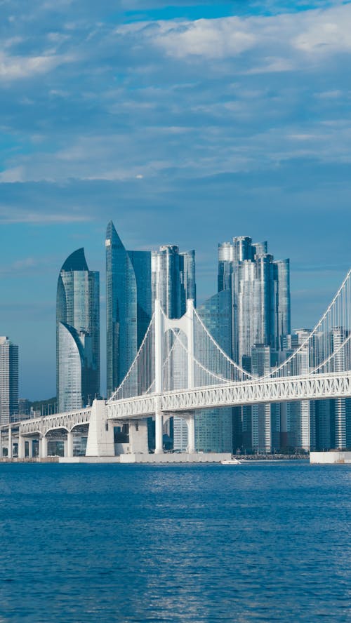 Những tòa nhà cao tầng ở Busan