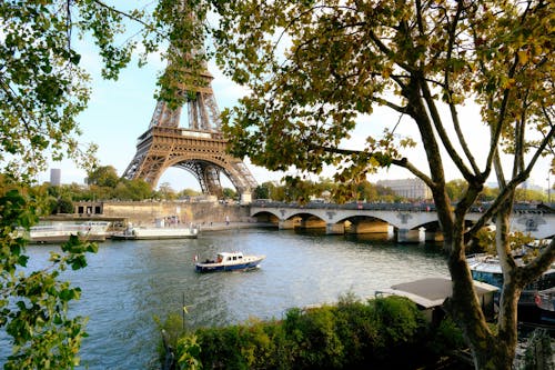 Ảnh chụp nghệ thuật bờ sông và chân ngọn tháp Eiffel
